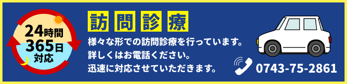 訪問診療　 24時間365日対応 様々な形での訪問診療を行っています。 詳しくはお電話ください。迅速に対応させていただきます。